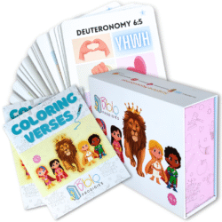 The Prodigy Package